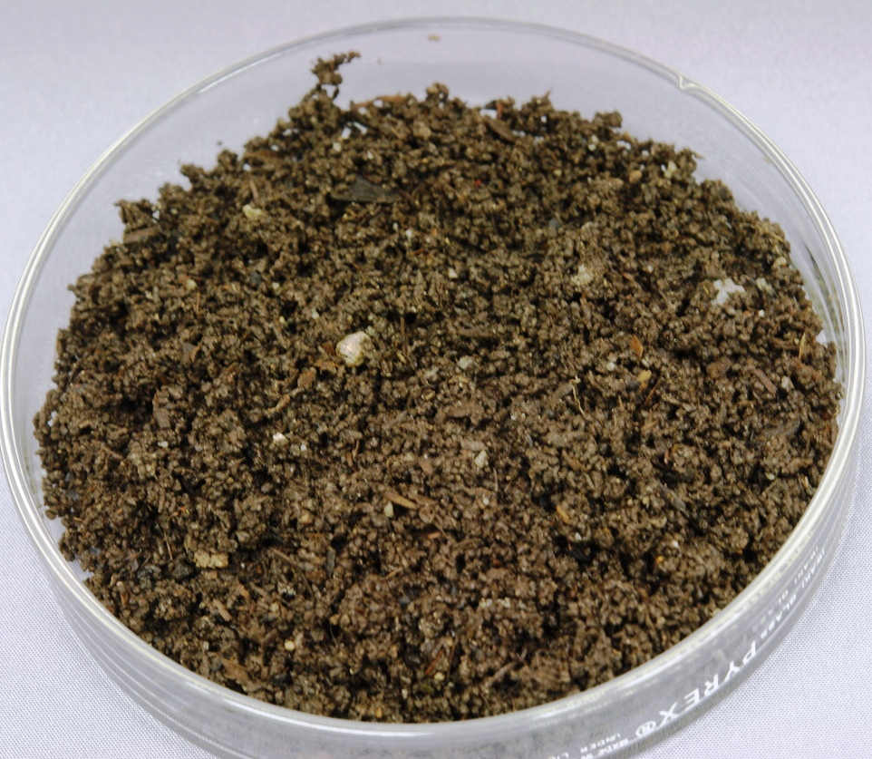 グローバル事業1